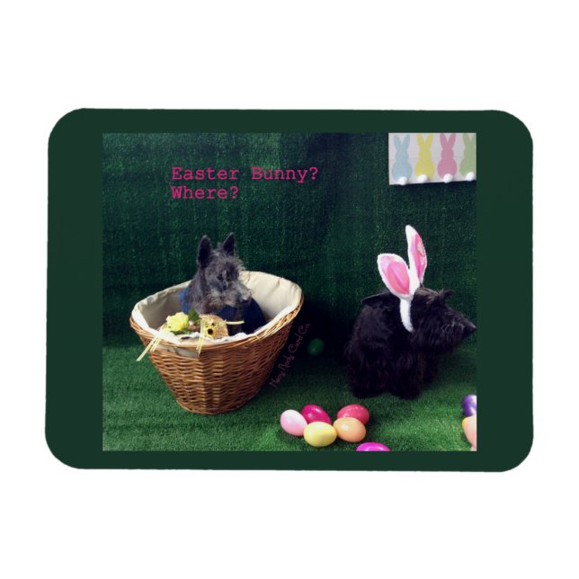 What Bunny Magnet (Horizontal)