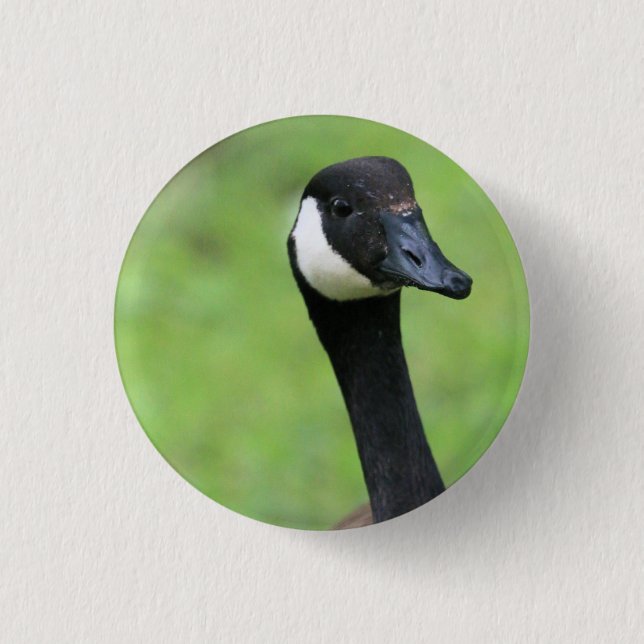 What? Button (Front)