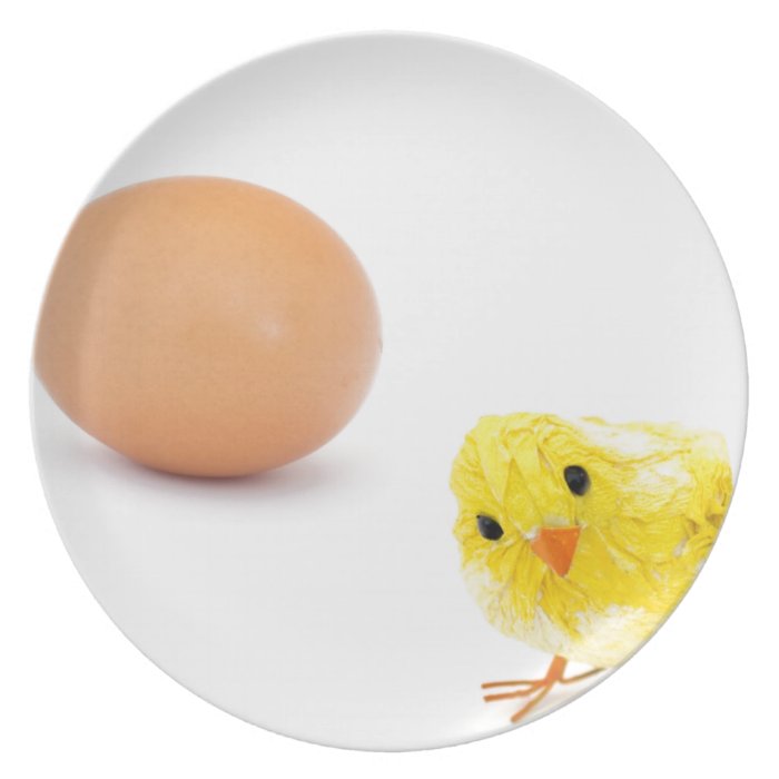 what came first the chicken or the egg? dinner plate