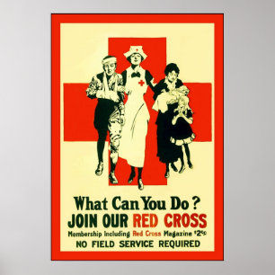 What Can You Do? ~ Vintage Nurse ~ WW1 Poster