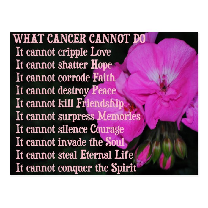 What Cancer Cannot Do PinkGeranium Flower Postcard