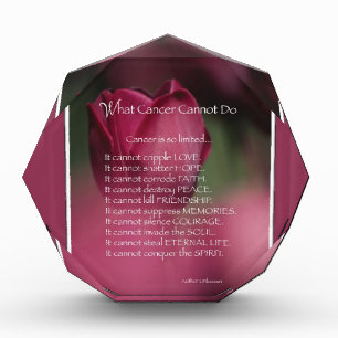What Cancer Cannot Do, Support and Encouragement Award