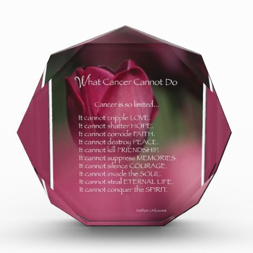What Cancer Cannot Do Support and Encouragement Award