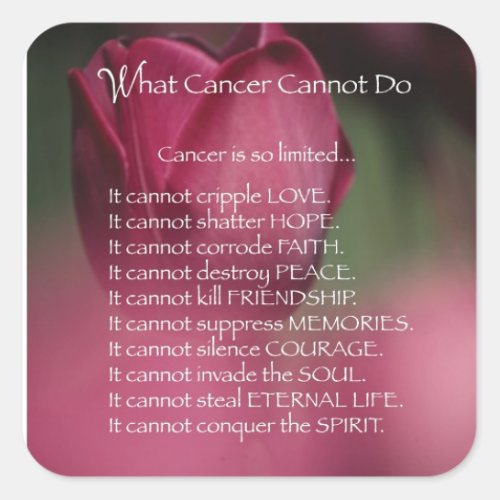 What Cancer Cannot Do Support and Encouragement Square Sticker