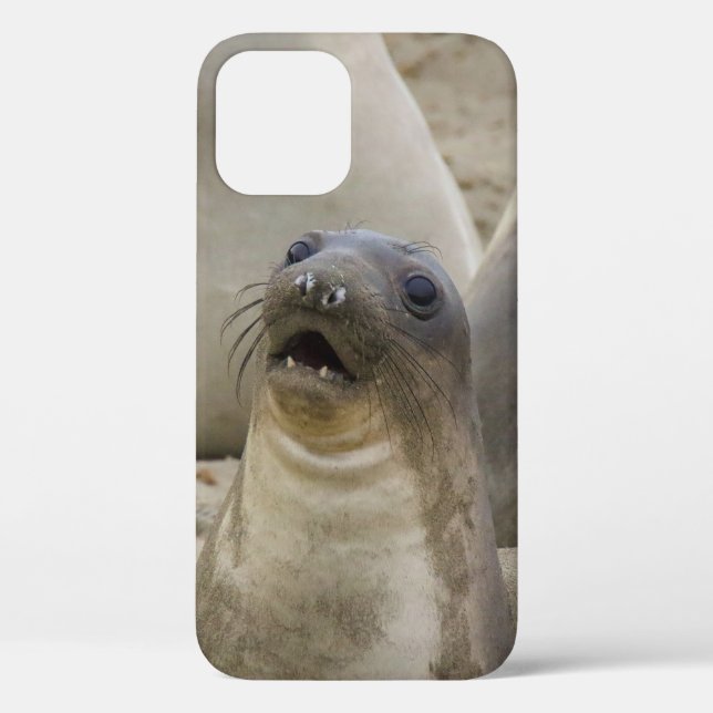 WHAT??? Case-Mate iPhone CASE (Back)