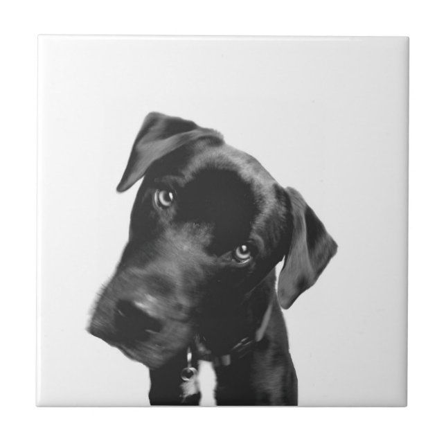 What? Ceramic Tile (Front)