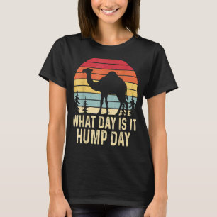 What Day Is It Hump Day Retro Vintage Sunset Camel T-Shirt