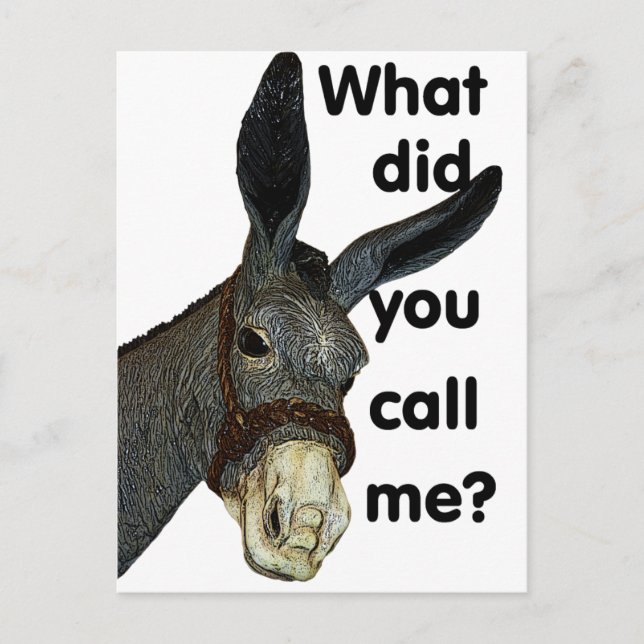 What did you call me? postcard (Front)