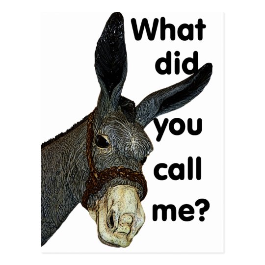 What did you call me? postcard | Zazzle.com