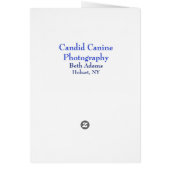 What did you say? (Back)