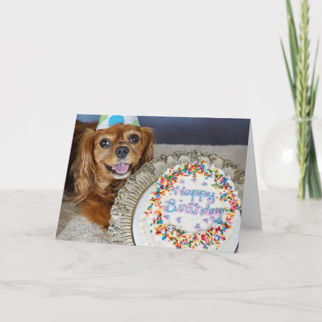 What Diet? Card (Front)