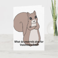 What do squirrels give for Valentine's Day Card