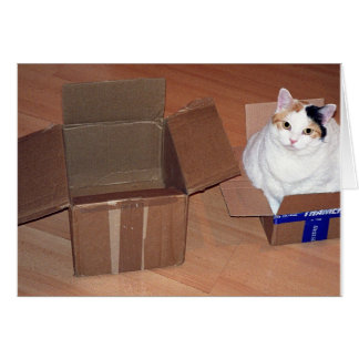 What do you mean I need a bigger size?