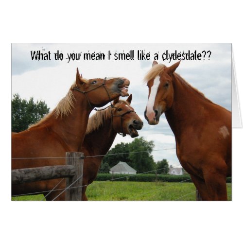 What do you mean I smell like a clydesdale card