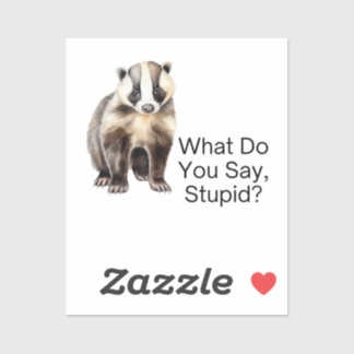 What Do You Say, Stupid? Custom Vinyl Sticker