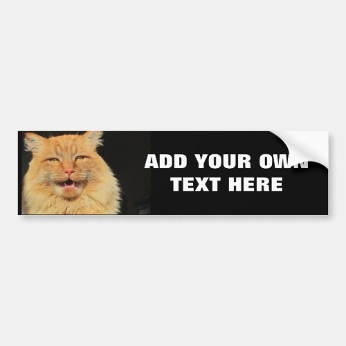 What does the Cat Say Bumper Sticker