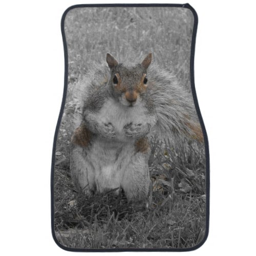 What Does The Squirrel Say Car Floor Mat