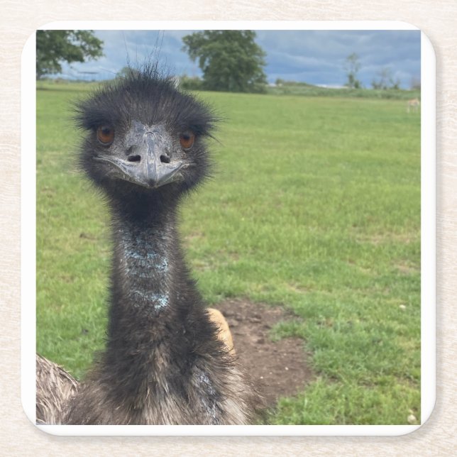 What EMU are you looking at? Square Paper Coaster (Front)