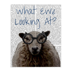 What Ewe Looking At Acrylic Print