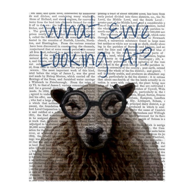 What Ewe Looking At Acrylic Print (Front)