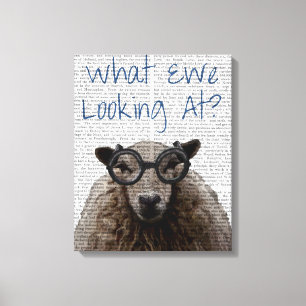 What Ewe Looking At Canvas Print