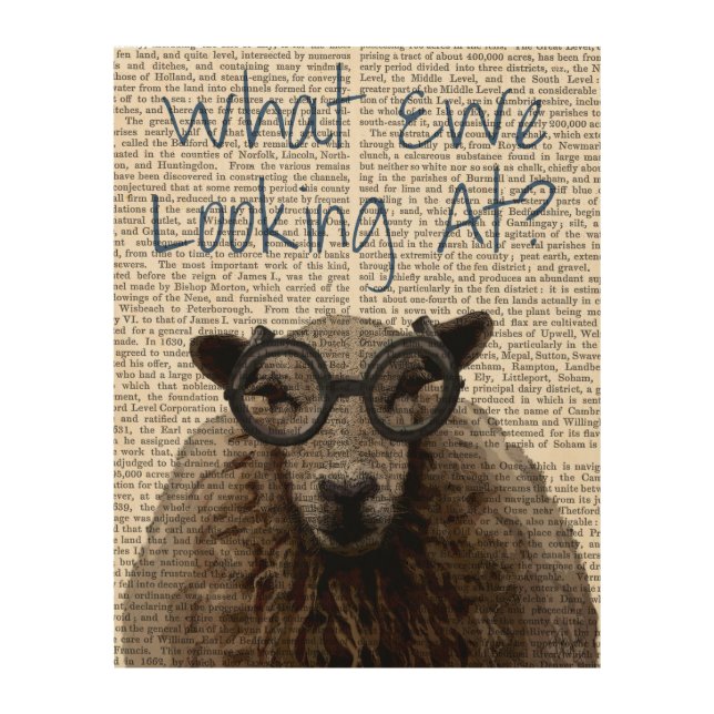 What Ewe Looking At Wood Wall Art (Front)