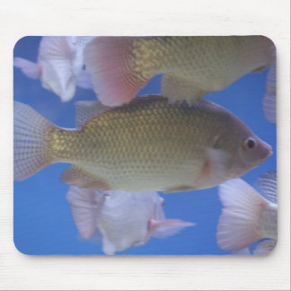 What for Dinner? Mouse Pad