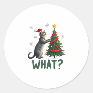 What Funny Cat Pushing Christmas Tree Over Cat Xma Classic Round Sticker