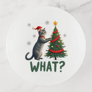 What Funny Cat Pushing Christmas Tree Over Cat Xma Trinket Tray