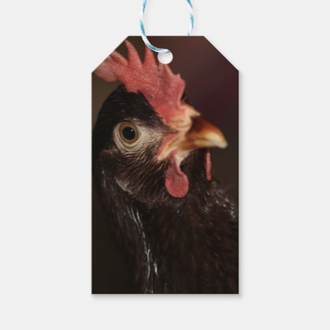 What? Gift Tags (Front)