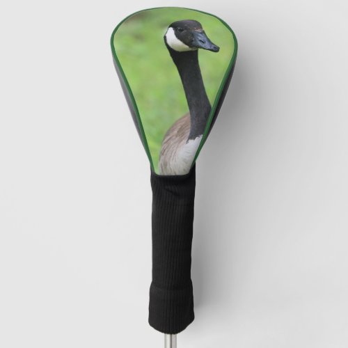 What Golf Head Cover