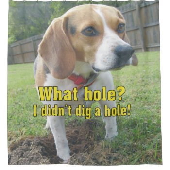 What Hole? I Didn't Dig A Hole! Beagle Shower Curtain by WackemArt at Zazzle