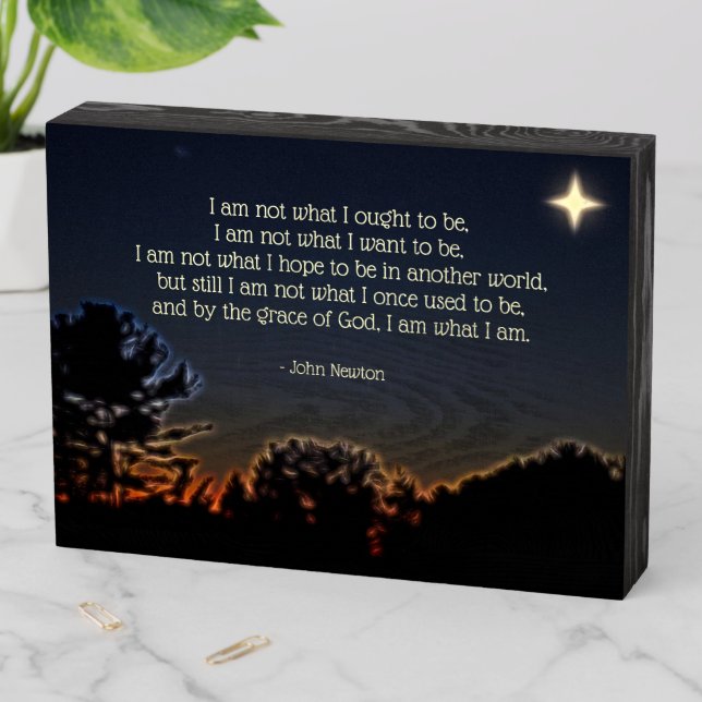 What I Ought To Be Wood Box Sign (In Situ Horizontal)