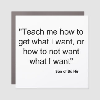 what I want Car Magnet