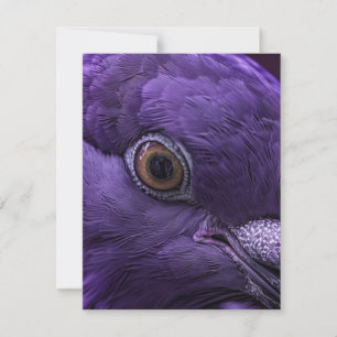 What If Heaven Was Purple Dove Art Note Card