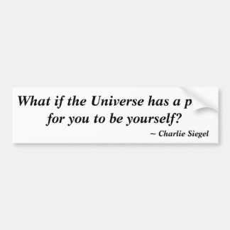 What if the Universe has a plan for you to be... Bumper Sticker