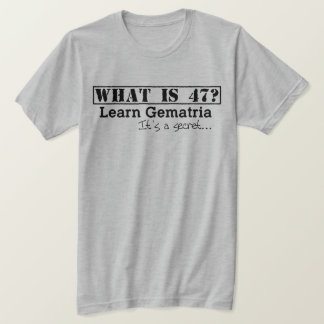 What is 47? & Free To Find Truth - Men's T-Shirt