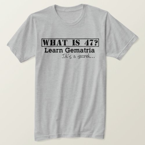 What is 47  Free To Find Truth _ Mens T_Shirt