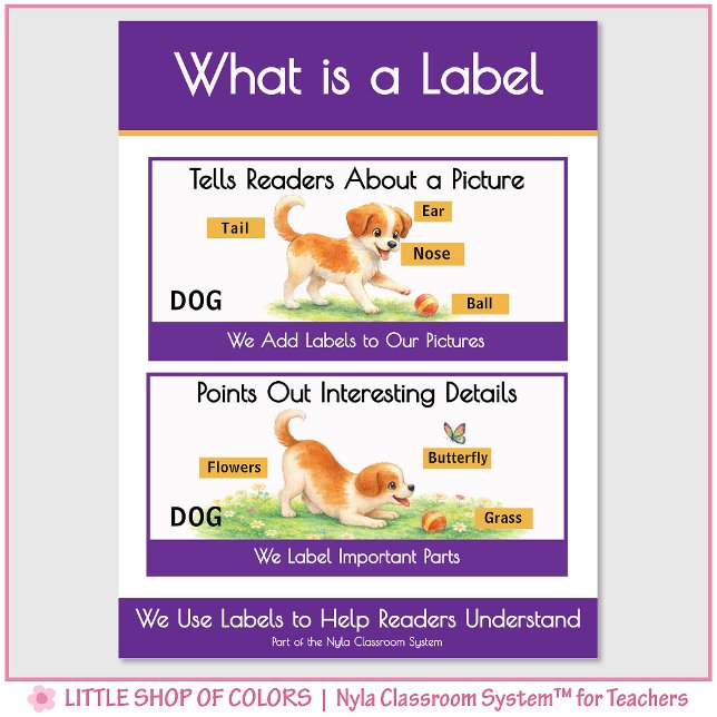 What is a Label Classroom Anchor Chart (Creator Uploaded)