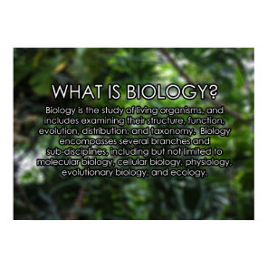 What is Biology? Poster