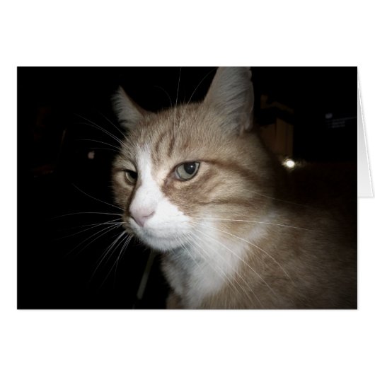 What is he thinking? cards (Front Horizontal)