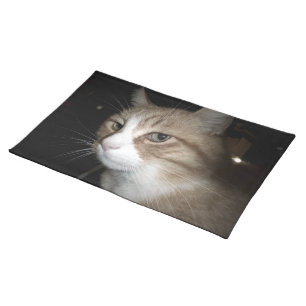 What is he thinking? cloth placemat