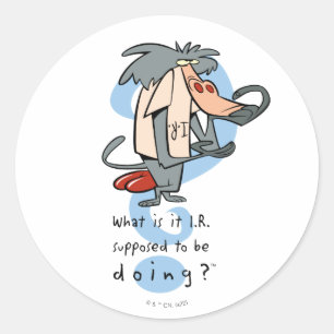What is it I.R. Supposed To Be Doing?™ Classic Round Sticker