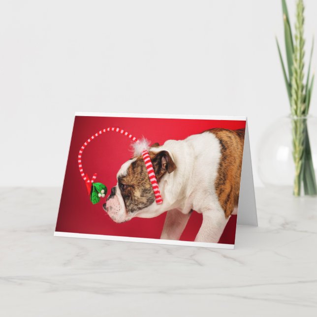 What is this? holiday card (Front)