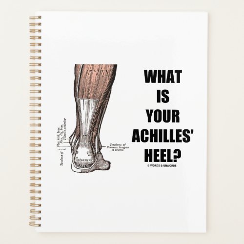 What Is Your Achilles Heel Heel Anatomy Psyche Planner