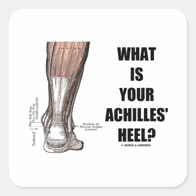 What Is Your Achilles' Heel? (Heel Anatomy) Square Sticker (Front)