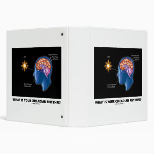 What Is Your Circadian Rhythm? 3 Ring Binder