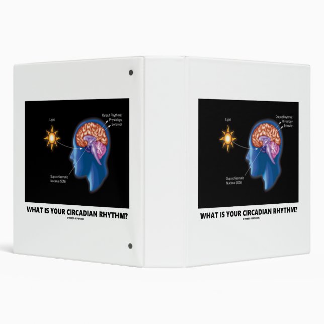 What Is Your Circadian Rhythm? 3 Ring Binder (Background)