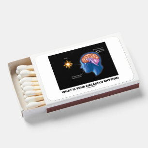 What Is Your Circadian Rhythm? Matchboxes