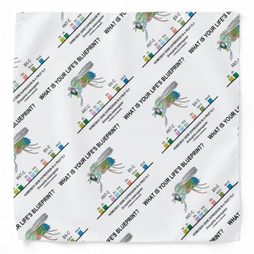 What Is Your Lifes Blueprint Drosophila Biology Bandana